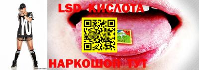 ГАЛЛЮЦИНОГЕННЫЕ ГРИБЫ Старая Купавна