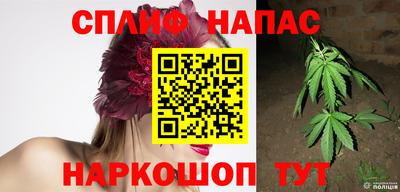 jwh Ставрополь