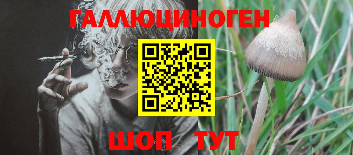 Псилоцибиновые грибы прущие грибы  Вход с VPN  Мценск 